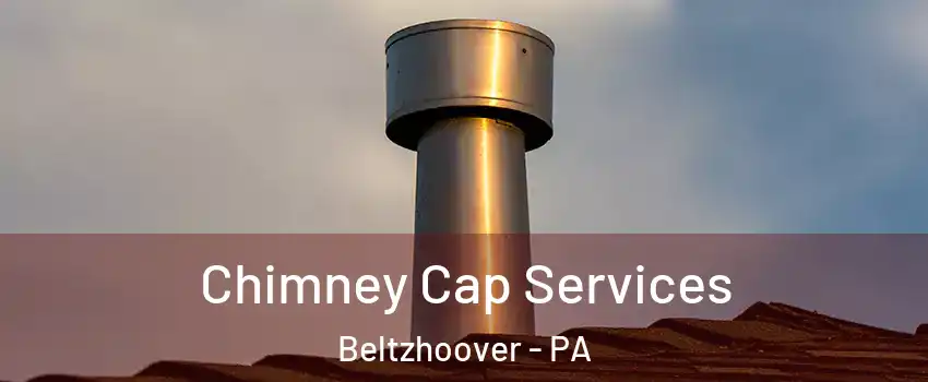 Chimney Cap Services Beltzhoover - PA