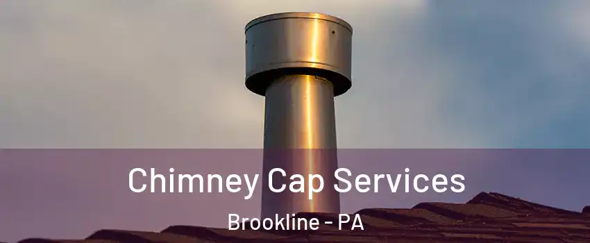 Chimney Cap Services Brookline - PA