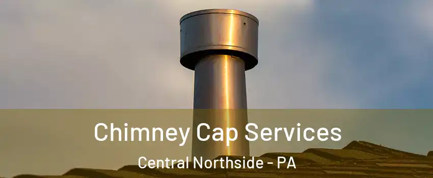 Chimney Cap Services Central Northside - PA