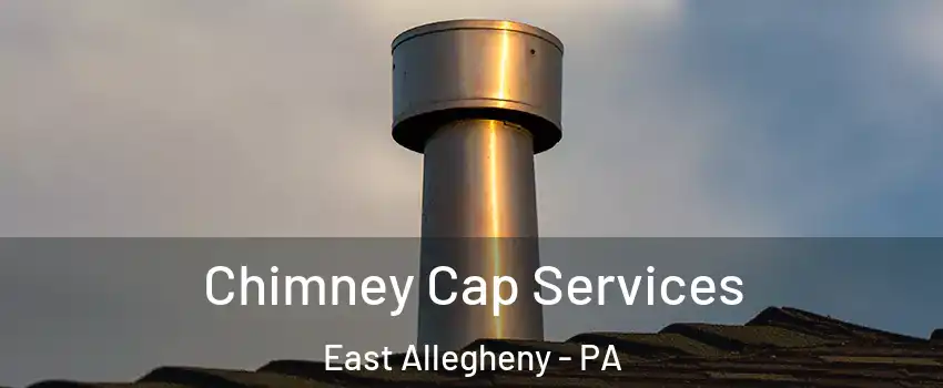 Chimney Cap Services East Allegheny - PA
