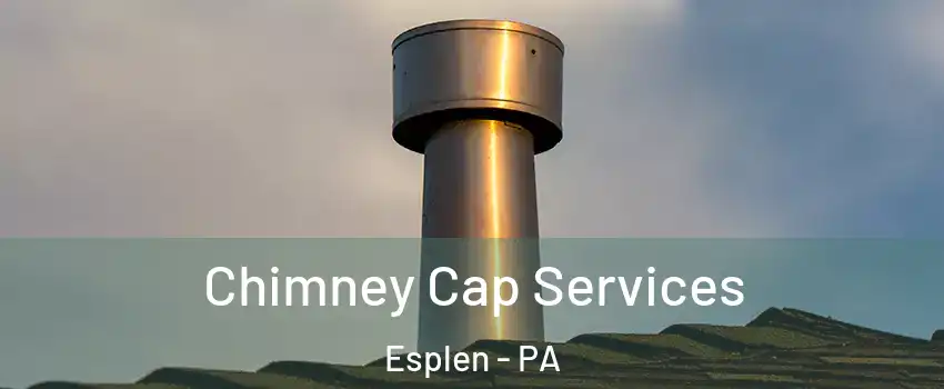 Chimney Cap Services Esplen - PA
