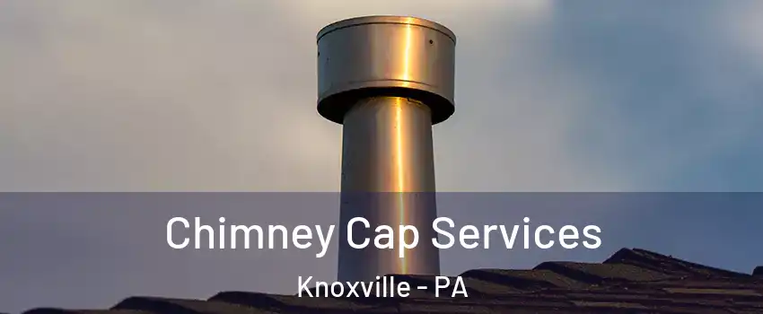 Chimney Cap Services Knoxville - PA