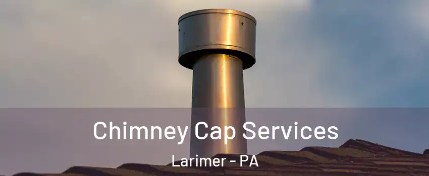 Chimney Cap Services Larimer - PA