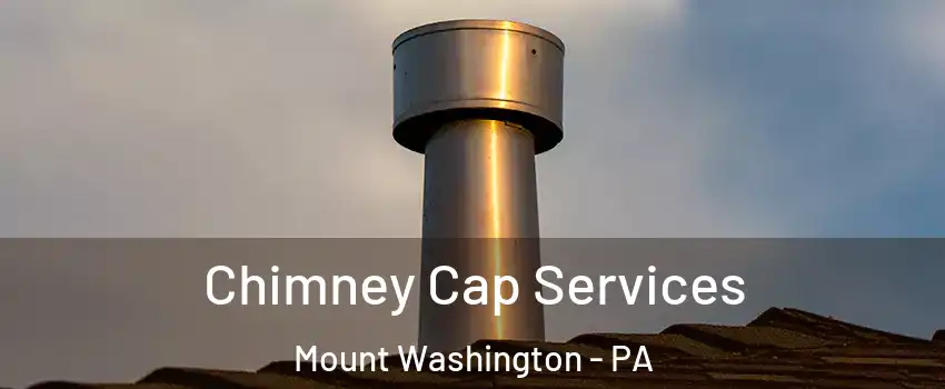 Chimney Cap Services Mount Washington - PA