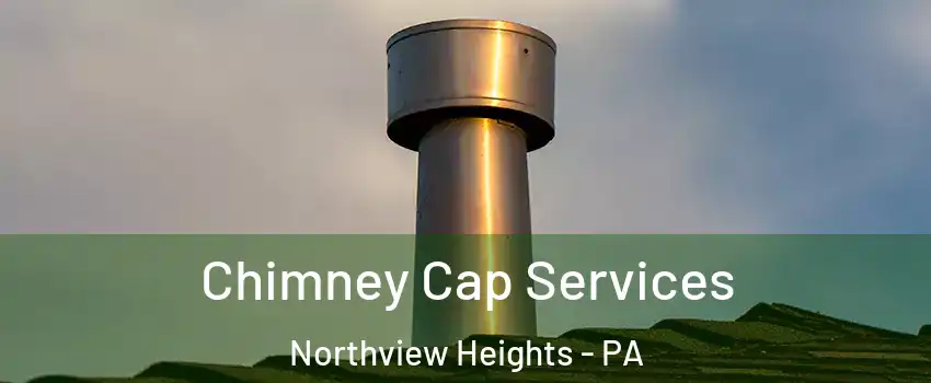 Chimney Cap Services Northview Heights - PA