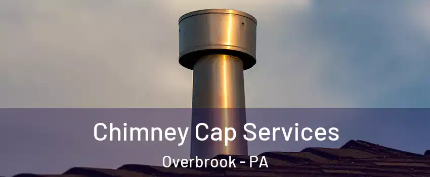 Chimney Cap Services Overbrook - PA