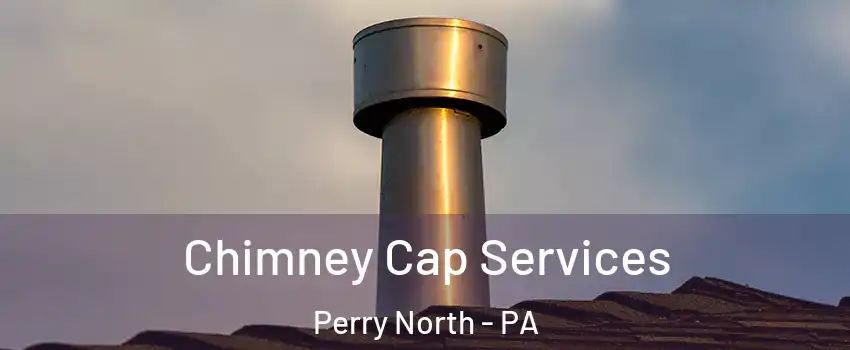 Chimney Cap Services Perry North - PA