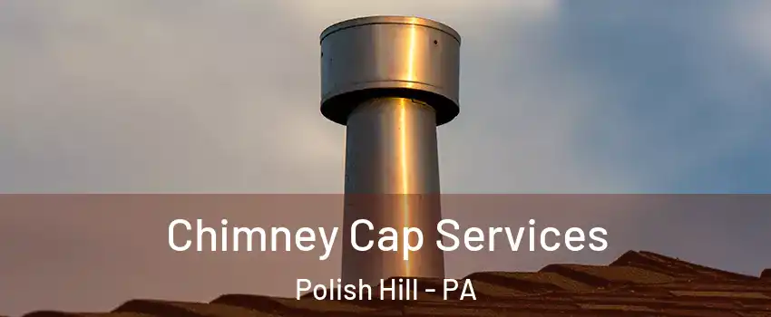 Chimney Cap Services Polish Hill - PA