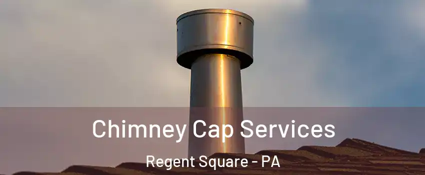 Chimney Cap Services Regent Square - PA