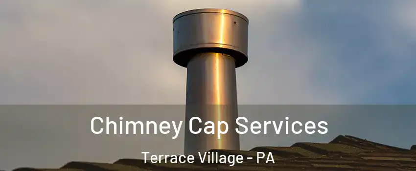 Chimney Cap Services Terrace Village - PA