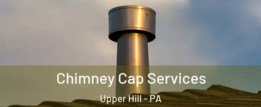 Chimney Cap Services Upper Hill - PA