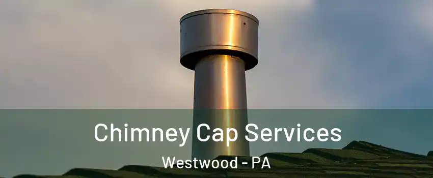 Chimney Cap Services Westwood - PA