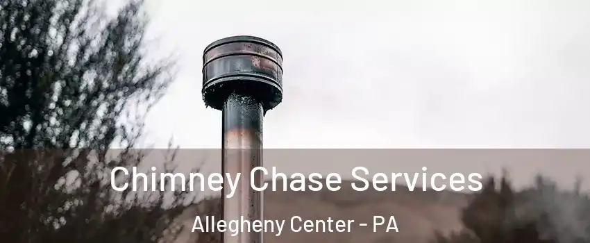 Chimney Chase Services Allegheny Center - PA