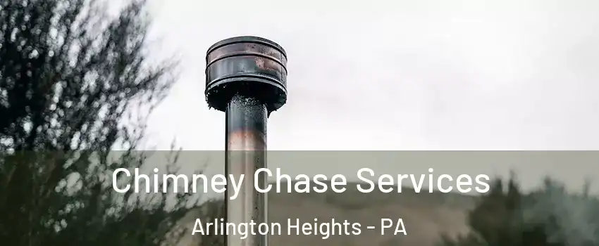 Chimney Chase Services Arlington Heights - PA