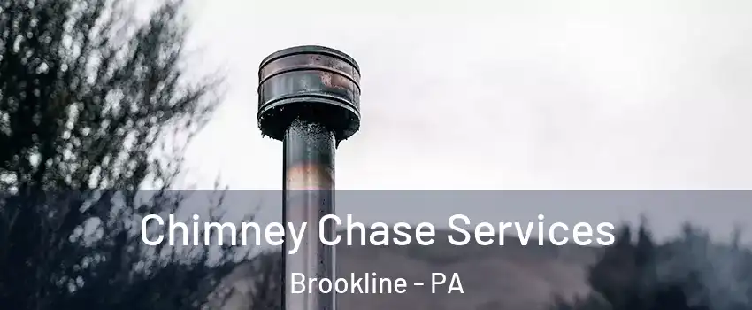 Chimney Chase Services Brookline - PA