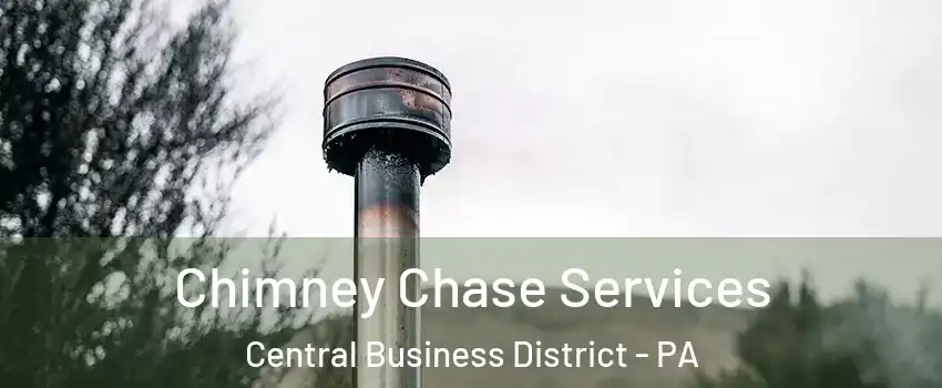 Chimney Chase Services Central Business District - PA