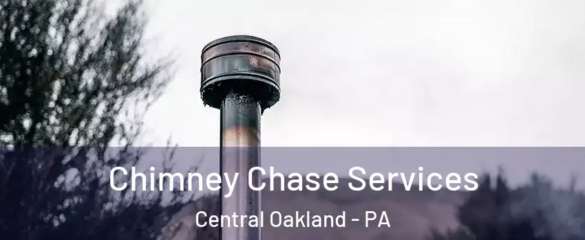 Chimney Chase Services Central Oakland - PA