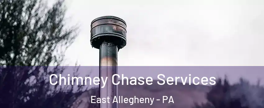 Chimney Chase Services East Allegheny - PA