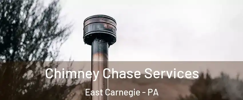 Chimney Chase Services East Carnegie - PA