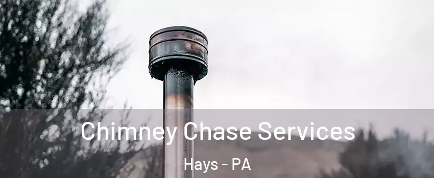 Chimney Chase Services Hays - PA