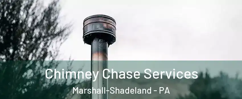 Chimney Chase Services Marshall-Shadeland - PA