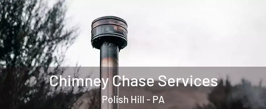 Chimney Chase Services Polish Hill - PA