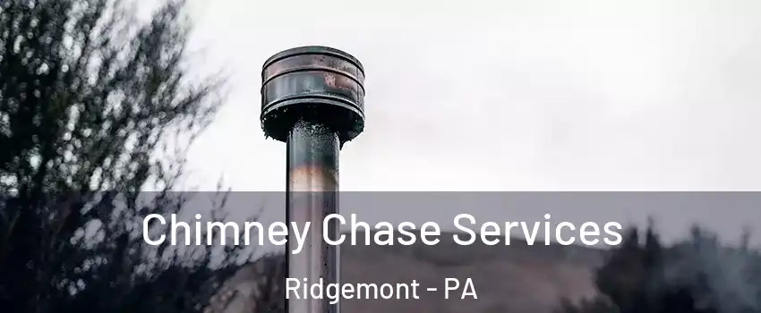 Chimney Chase Services Ridgemont - PA