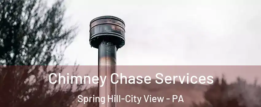 Chimney Chase Services Spring Hill-City View - PA