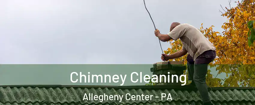 Chimney Cleaning Allegheny Center - PA