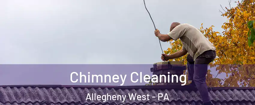 Chimney Cleaning Allegheny West - PA