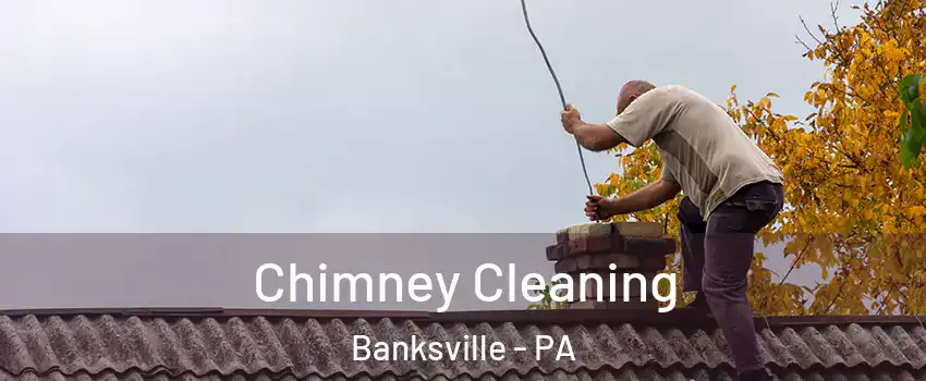 Chimney Cleaning Banksville - PA
