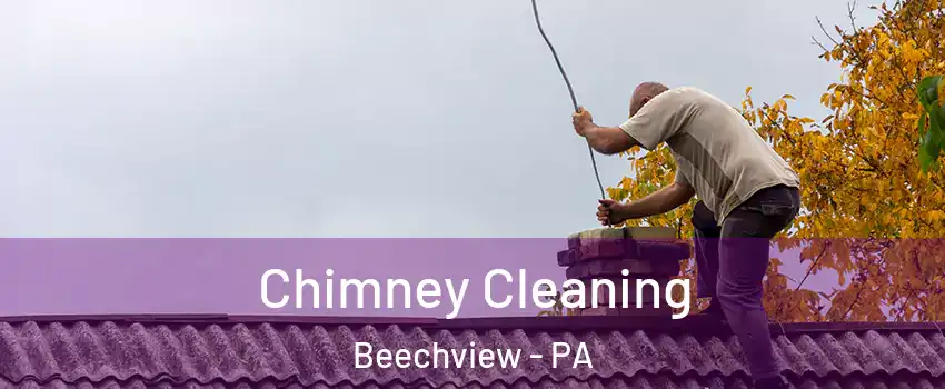 Chimney Cleaning Beechview - PA