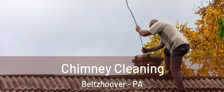 Chimney Cleaning Beltzhoover - PA