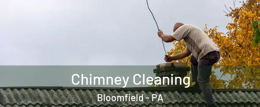 Chimney Cleaning Bloomfield - PA