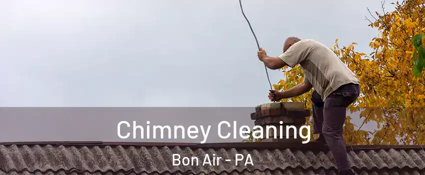 Chimney Cleaning Bon Air - PA