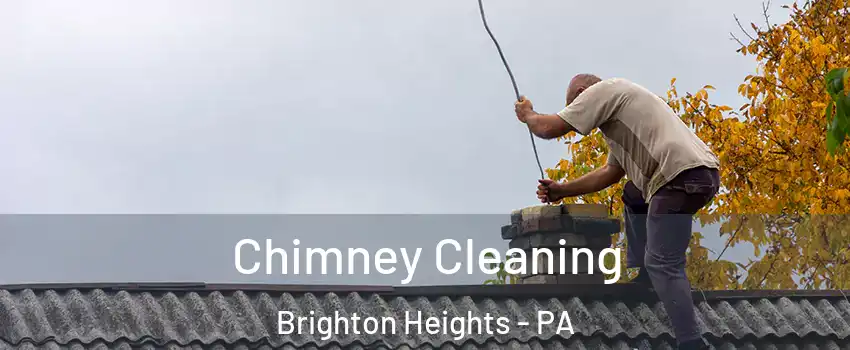 Chimney Cleaning Brighton Heights - PA