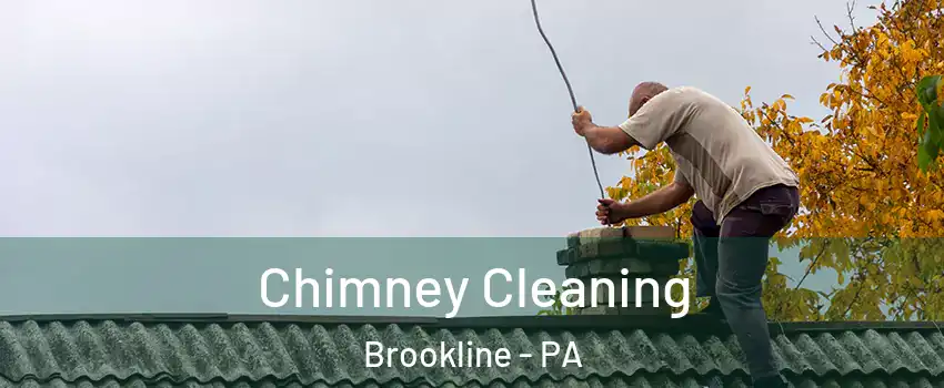 Chimney Cleaning Brookline - PA
