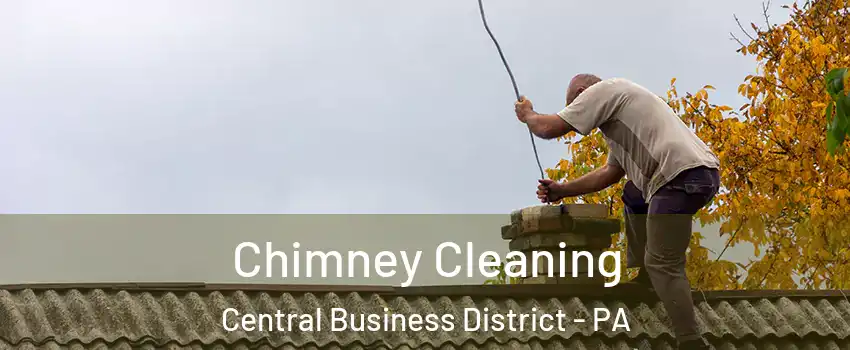 Chimney Cleaning Central Business District - PA
