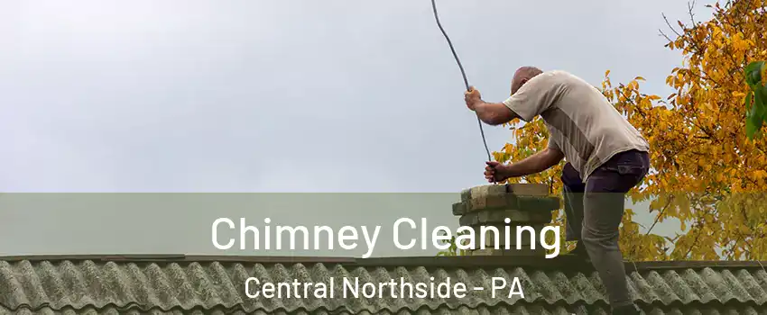 Chimney Cleaning Central Northside - PA