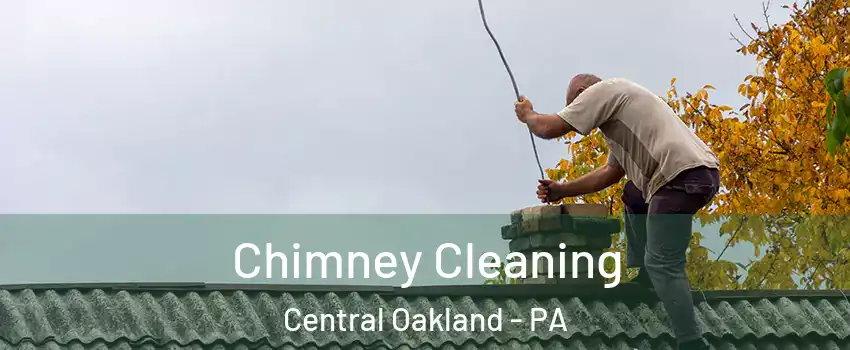 Chimney Cleaning Central Oakland - PA