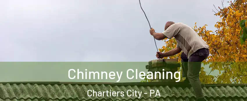 Chimney Cleaning Chartiers City - PA