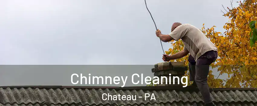 Chimney Cleaning Chateau - PA