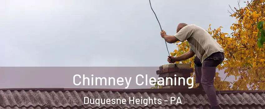 Chimney Cleaning Duquesne Heights - PA