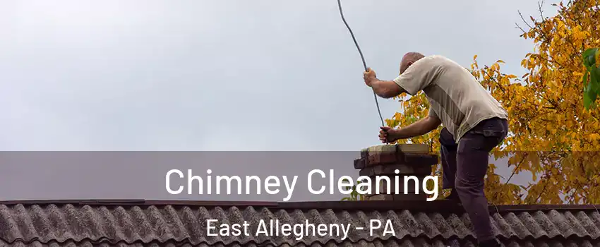 Chimney Cleaning East Allegheny - PA