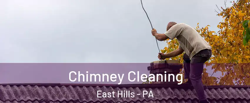 Chimney Cleaning East Hills - PA