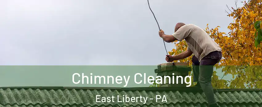 Chimney Cleaning East Liberty - PA
