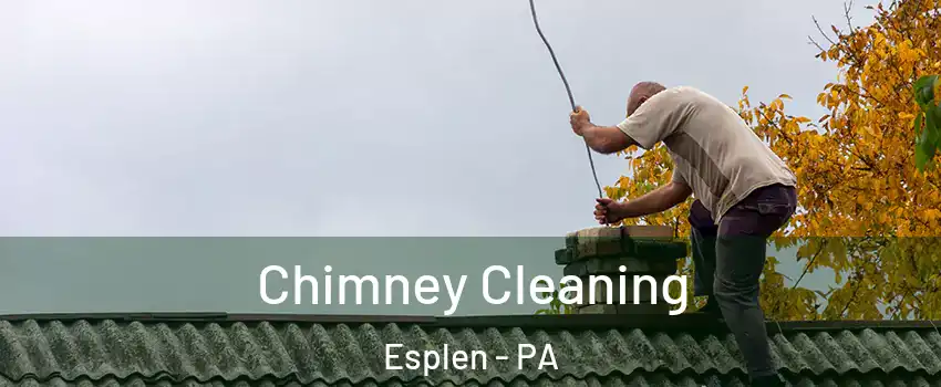 Chimney Cleaning Esplen - PA
