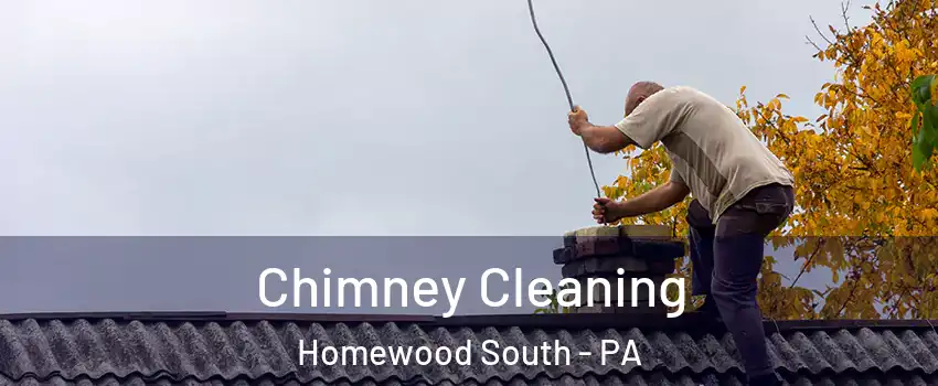 Chimney Cleaning Homewood South - PA