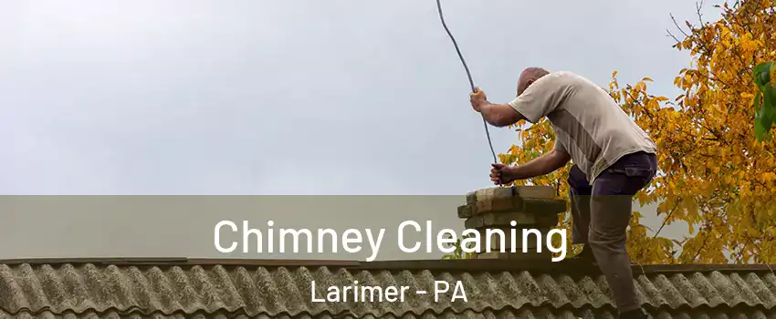 Chimney Cleaning Larimer - PA