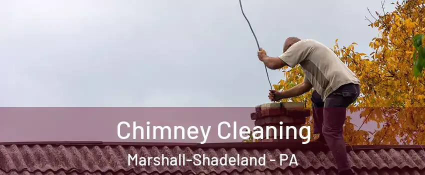 Chimney Cleaning Marshall-Shadeland - PA